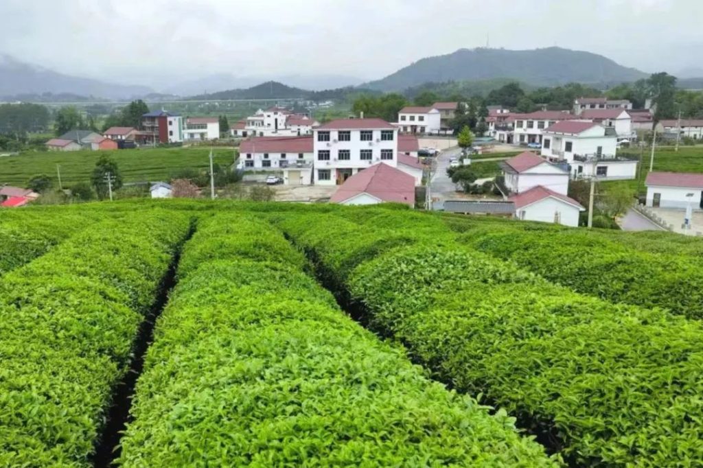 图片[2]-驻村第一书记必学：Deepseek，乡村振兴的AI“军师智囊团”（详解版）-疯狂的豇豆知识库