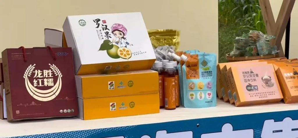 图片[4]-驻村第一书记必学：Deepseek，乡村振兴的AI“军师智囊团”（详解版）-疯狂的豇豆知识库