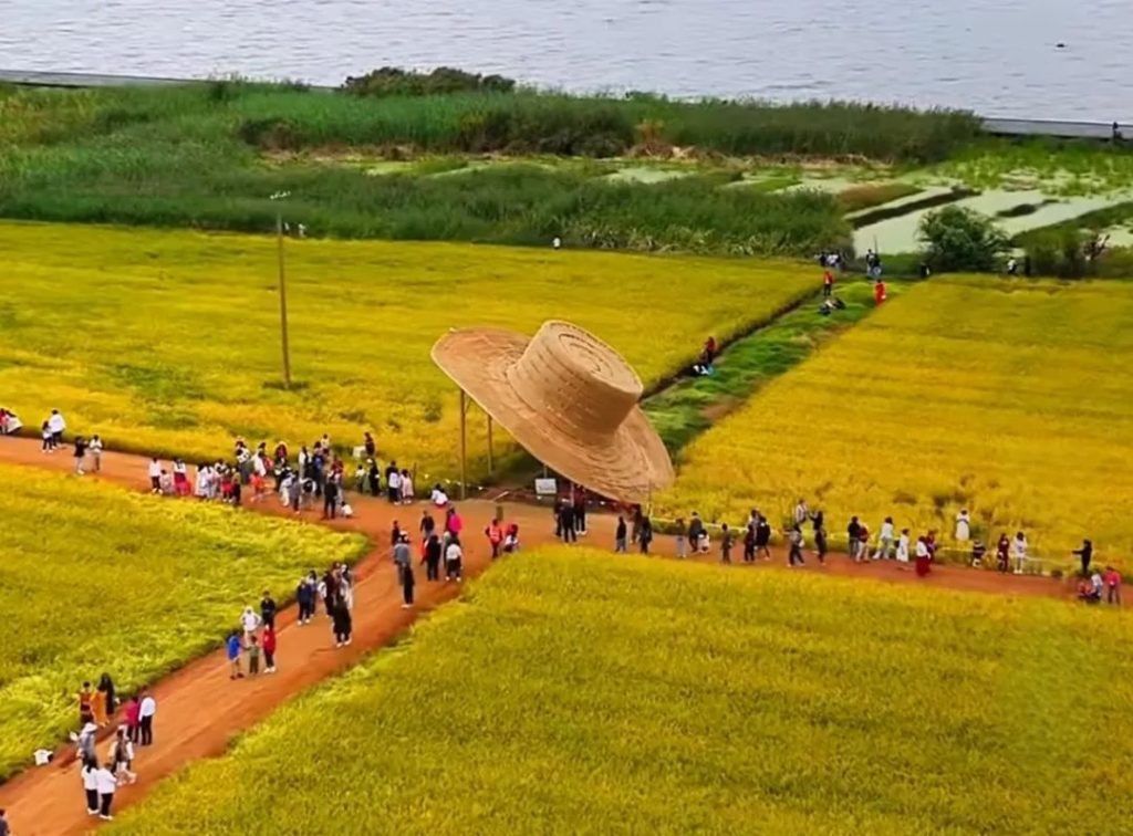 图片[9]-驻村第一书记必学：Deepseek，乡村振兴的AI“军师智囊团”（详解版）-疯狂的豇豆知识库