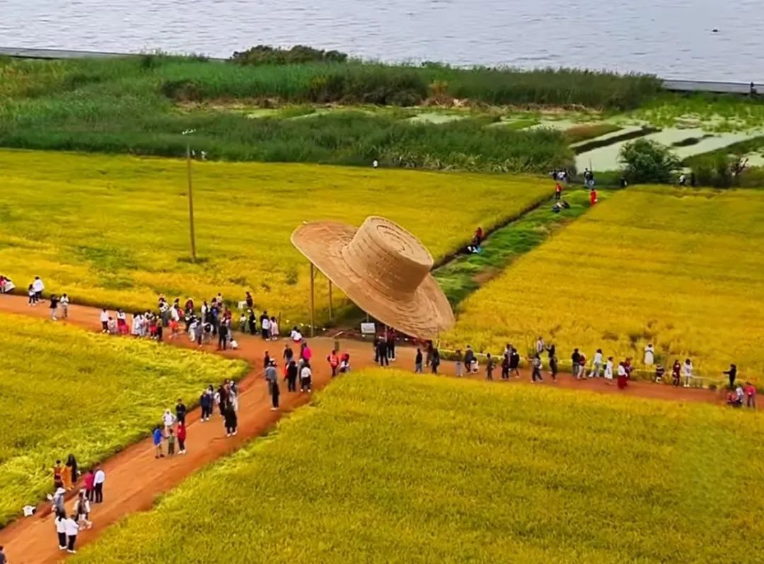 驻村第一书记必学:Deepseek,乡村振兴的AI“军师智囊团”(详解版)