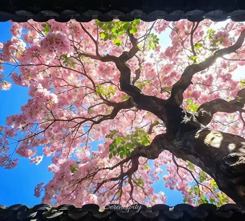用户封面